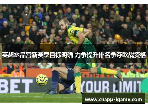 英超水晶宫新赛季目标明确 力争提升排名争夺欧战资格 英超水晶宫新赛季目标明确 力争提升排名争夺欧战资格