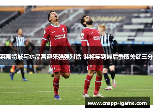 莱斯特城与水晶宫迎来强强对话 谁将笑到最后争取关键三分