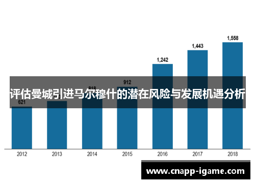 评估曼城引进马尔穆什的潜在风险与发展机遇分析 评估曼城引进马尔穆什的潜在风险与发展机遇分析