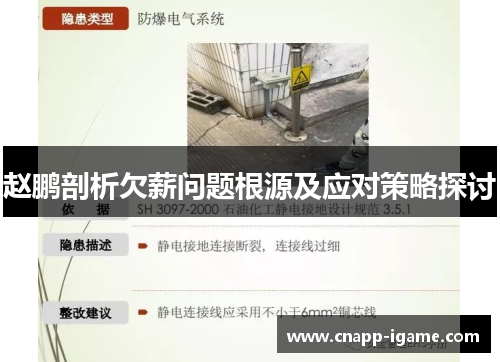 赵鹏剖析欠薪问题根源及应对策略探讨 赵鹏剖析欠薪问题根源及应对策略探讨