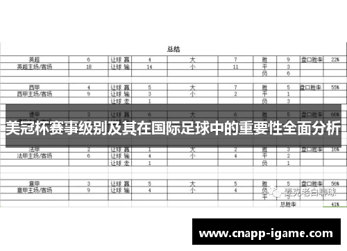 美冠杯赛事级别及其在国际足球中的重要性全面分析